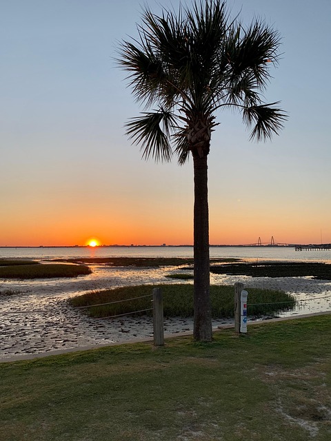 Free Bridge Sunset photo and picture