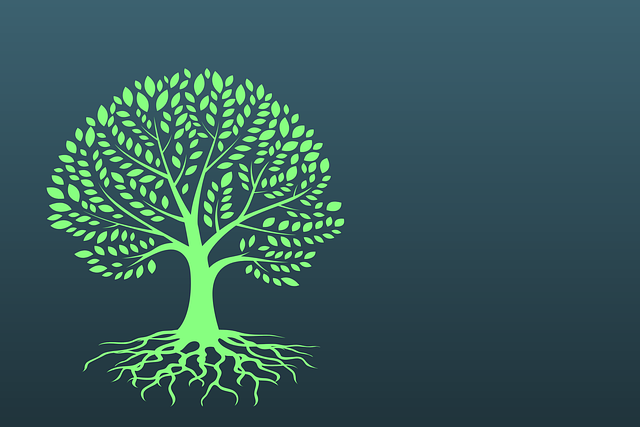 Free tree leaves foliage illustration