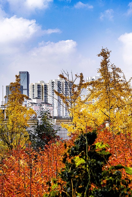 Free Autumn The Leaves photo and picture