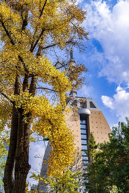 Free Autumn The Leaves photo and picture