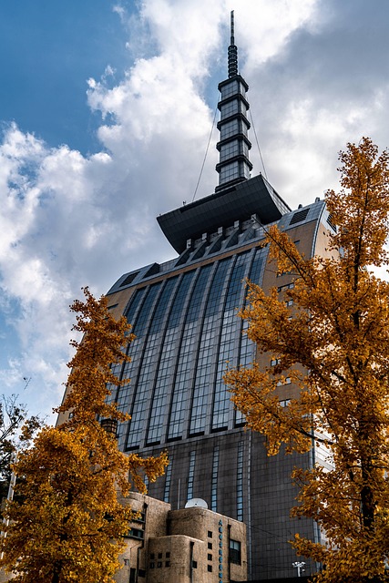 Free Autumn City photo and picture