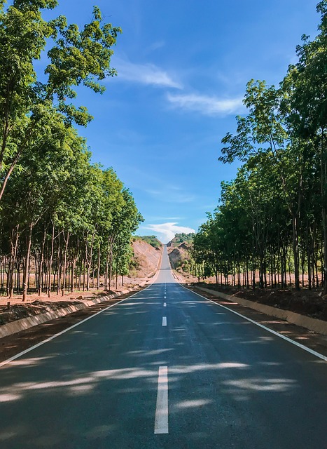 Free Vietnam Road photo and picture