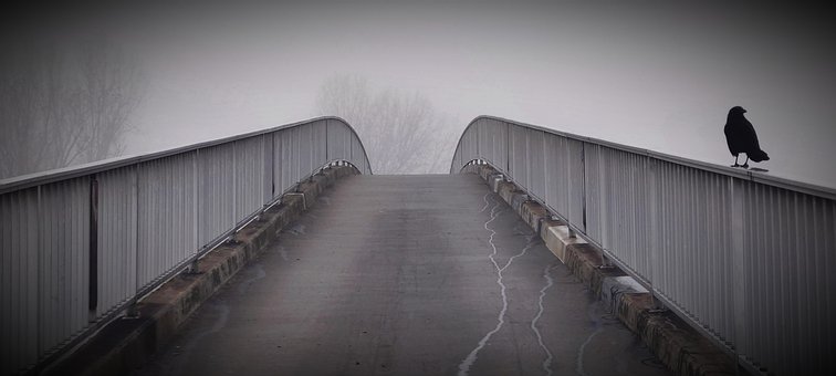 Free Bridge Fog photo and picture