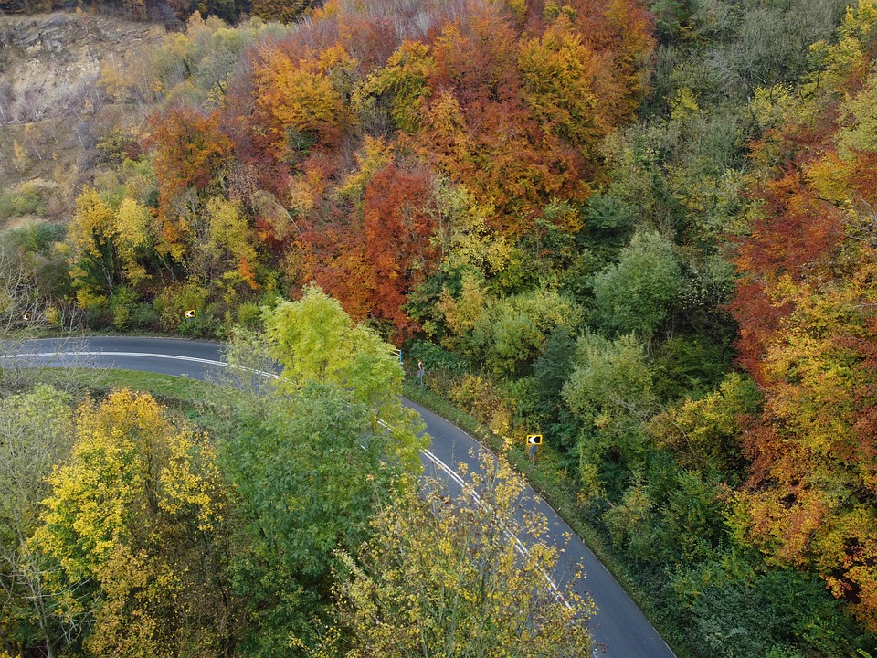 FallColor