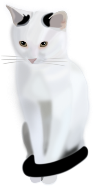 Free Cat Pet vector and picture