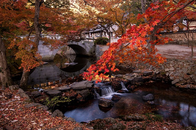 Herbst, Wald, Park, Wasserfall, Fluss