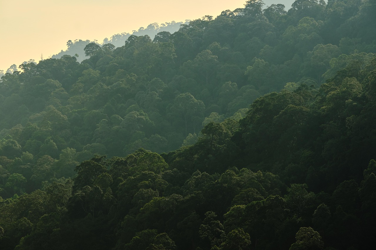 Mountain - free online jigsaw puzzle photo
