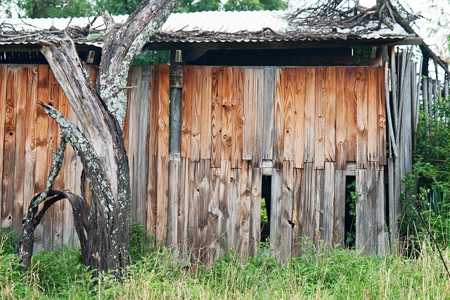 Wooden Shack Deterioration - Free photo on Pixabay
