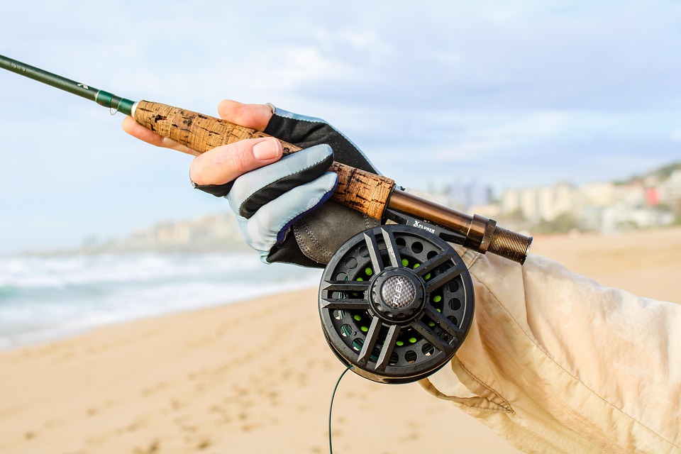 The Ultimate Guide to the Best Carp Fishing Lakes: Where to Cast Your Line!
