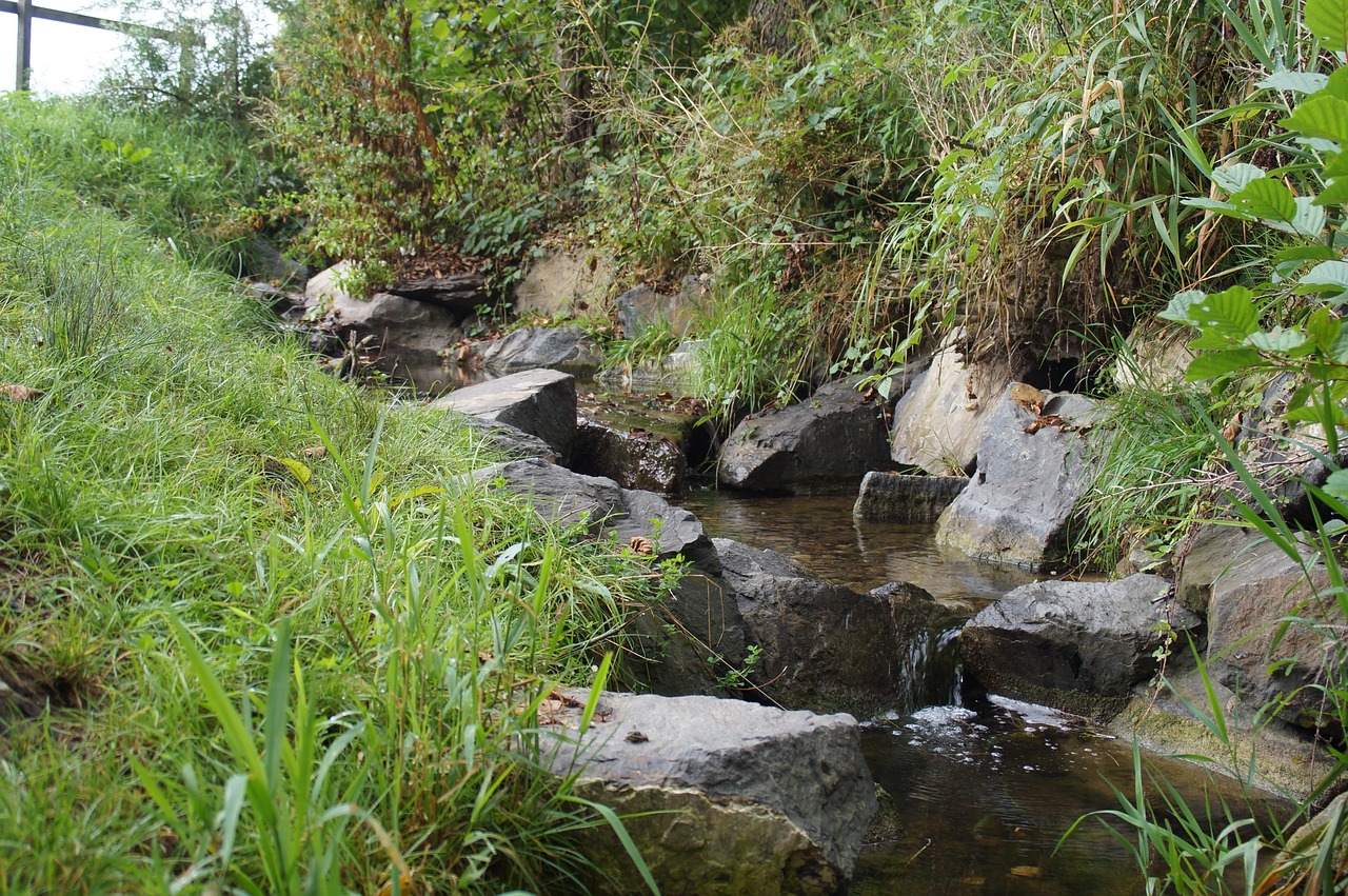 Brook Stream Creek Free photo on Pixabay Pixabay