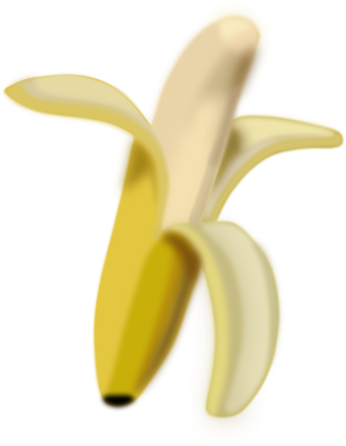 Free Banana Fruit vector and picture