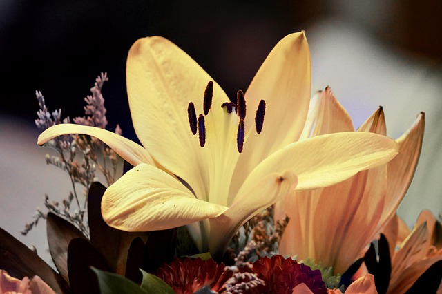 Lilien, Blumen, Blumentapete