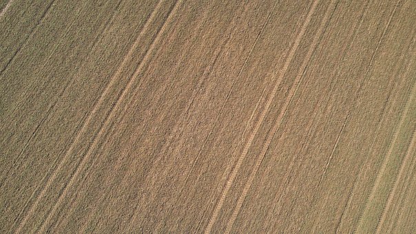 Free Fields Harvest photo and picture