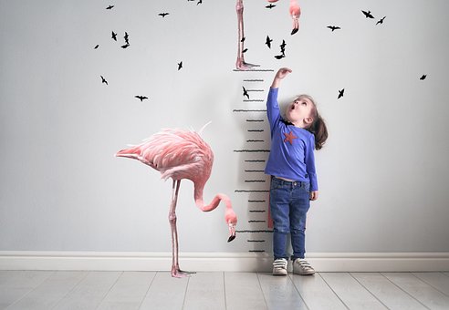 Pige, Flamingo, Kid, Voksende Diagram