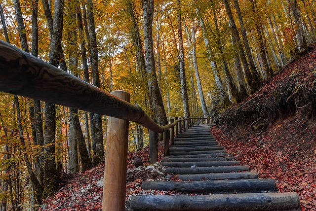 Free Nature Hike photo and picture