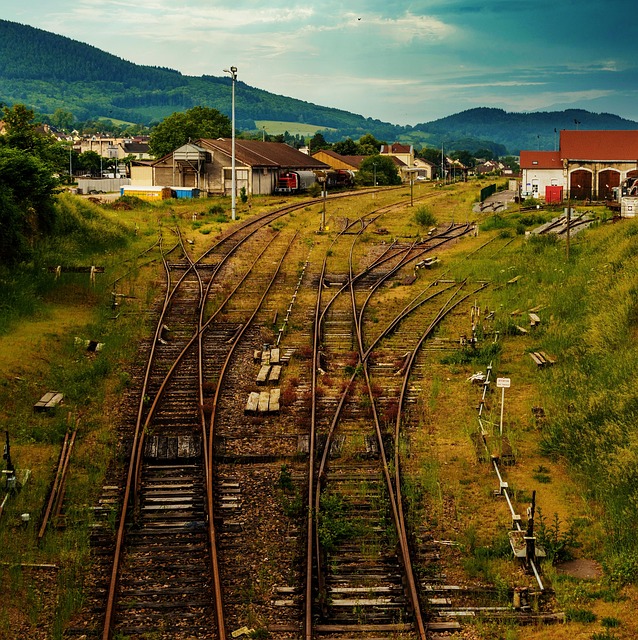 Free Station Transport photo and picture