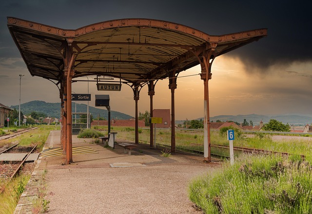 Free Station Transport photo and picture