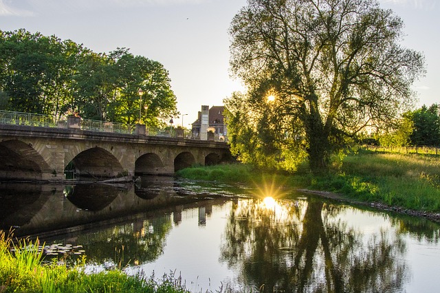 Free Nature Bridge photo and picture