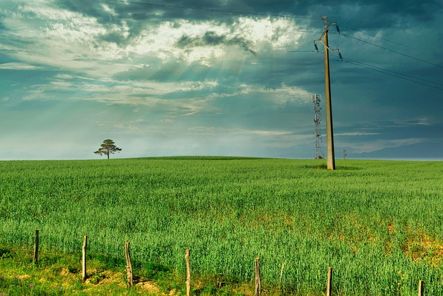 Free Nature Field photo and picture