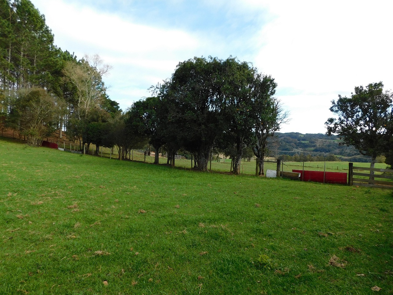 Natureza Campo Verde - Foto gratuita no Pixabay - Pixabay