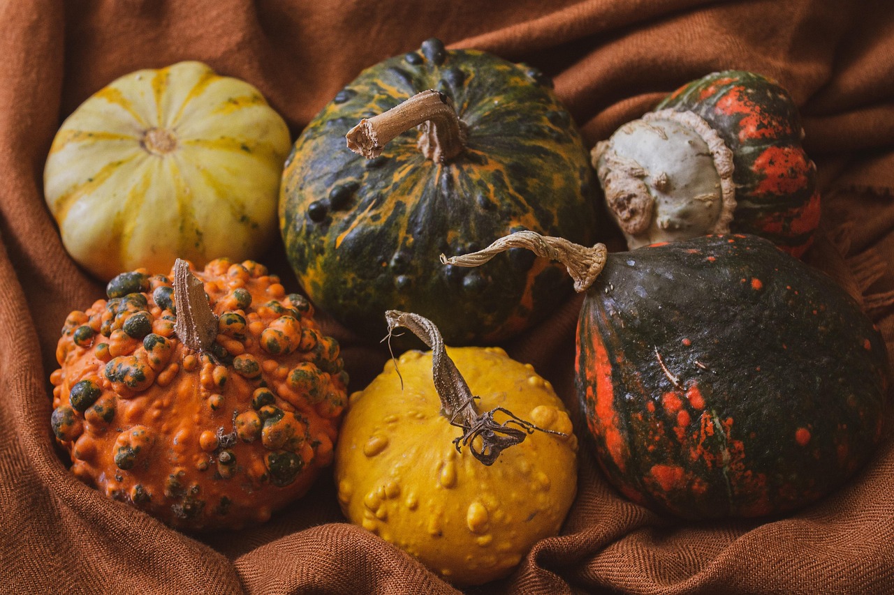 Pumpkin - free online jigsaw puzzle photo