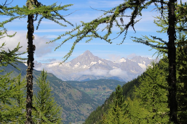 Free Mountains Valais photo and picture