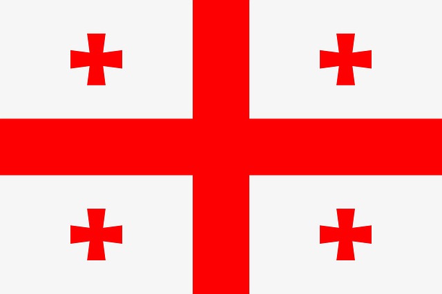 Free georgia country patriot vector