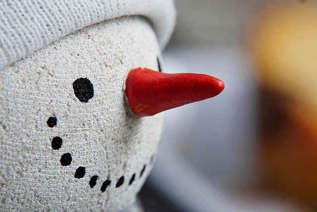 Free Snowman Nose photo and picture