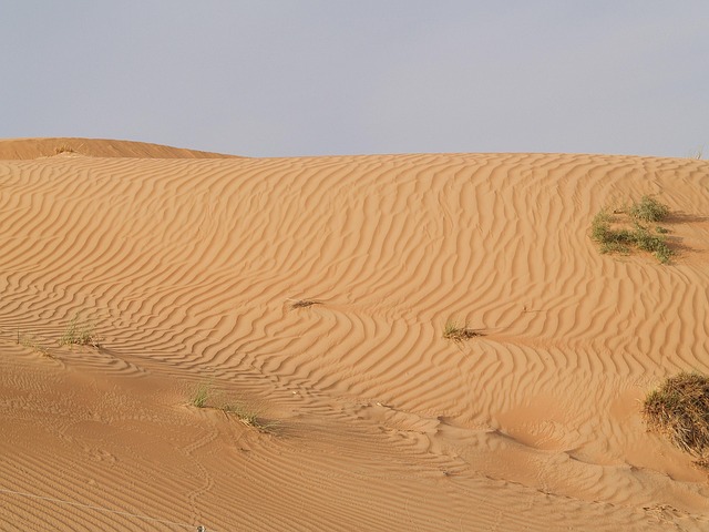 Free Desert Dubai photo and picture