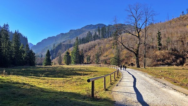 Gebirge, Track, Natur, Reisen, Prüfung