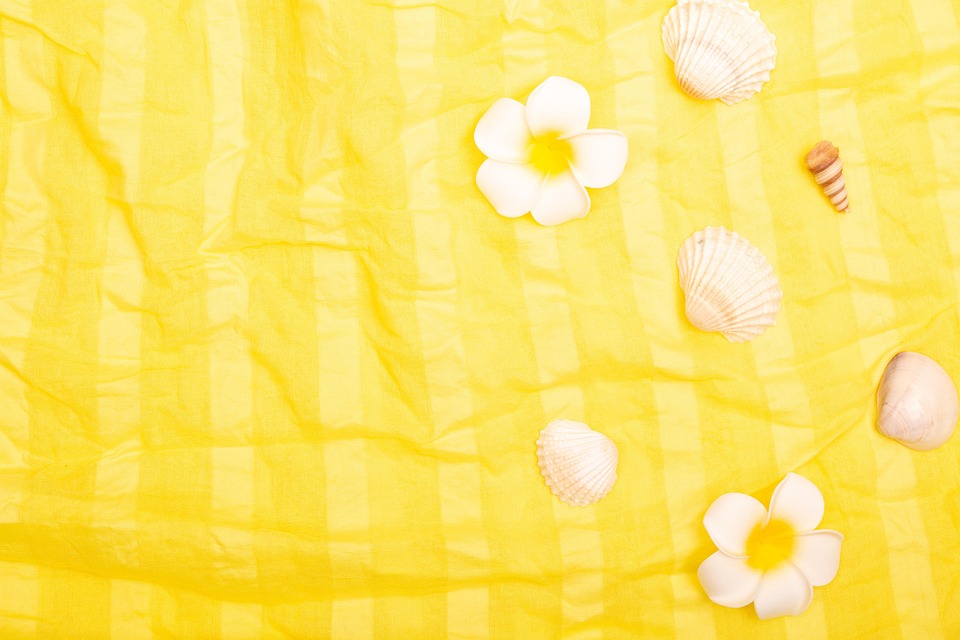 夏の背景 バックグラウンド 貝殻 - Pixabayの無料写真 - Pixabay