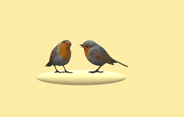 Pássaro, Chilro, Tweet, Robin