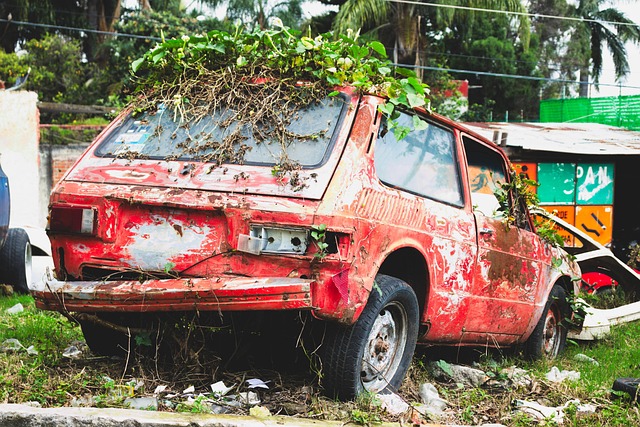 Free Car Abandoned photo and picture