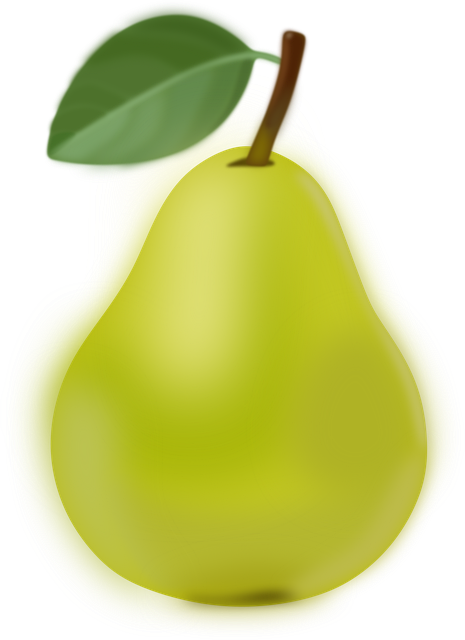 Free Pear Fruit vector and picture