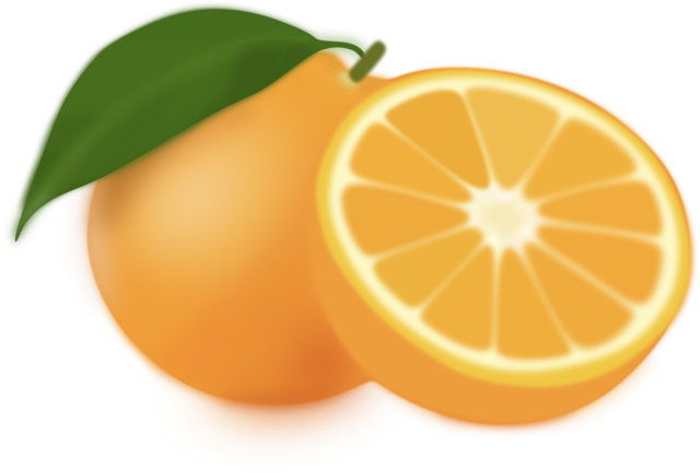 Free Orange Citrus vector and picture