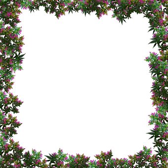 Free Floral Frame photo and picture