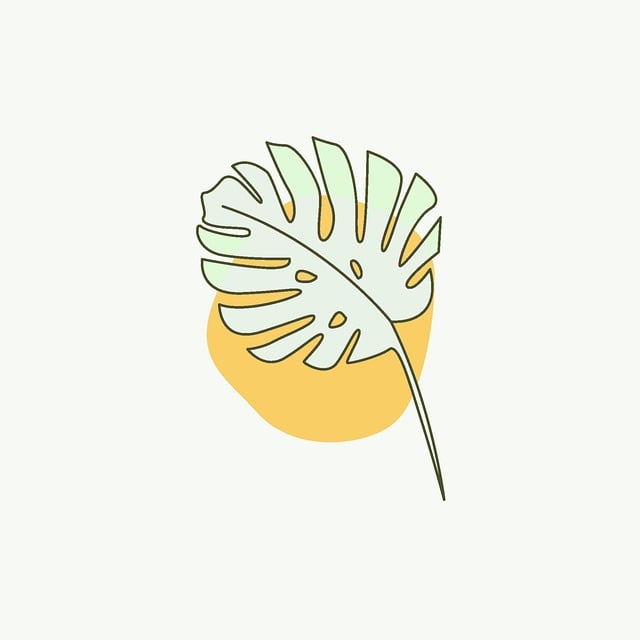 Listy, Monstera, Výkres, Květinový