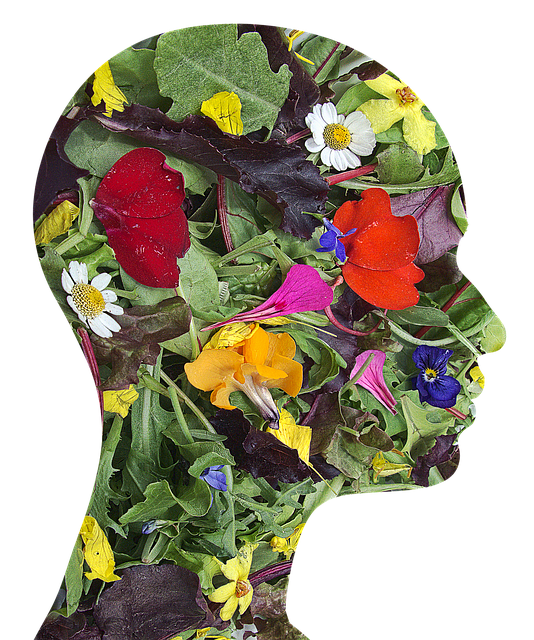 Free head profile nature illustration