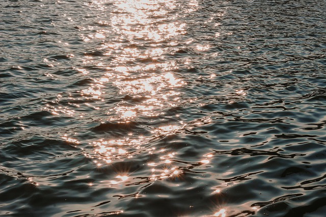 Free Sea Ocean photo and picture