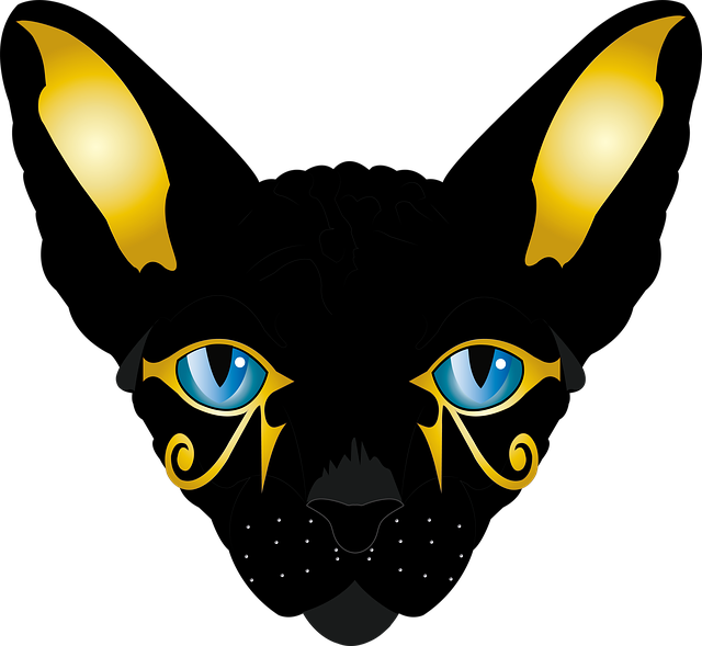 Free cat sphynx cat cutout illustration