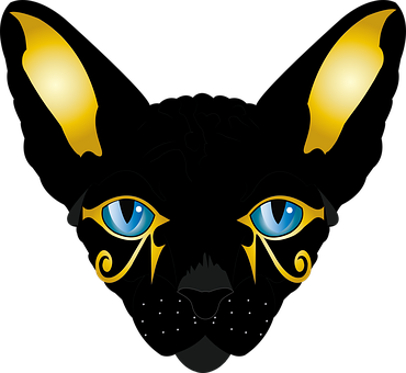 Katze, Sphynx-Katze, Ausgeschnitten