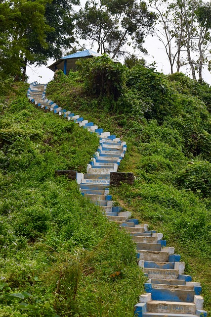Hügel, Treppe, Bäume, Wald, National