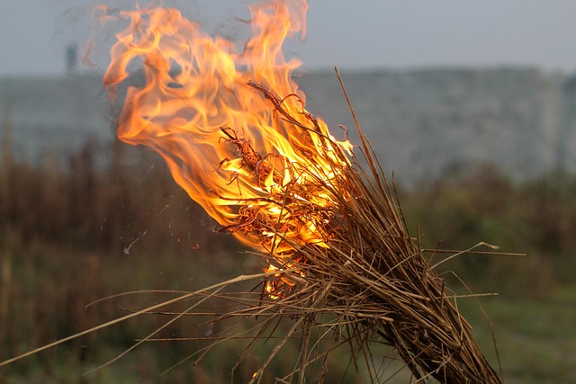 Feuer, Flamme, Fackel, Natur