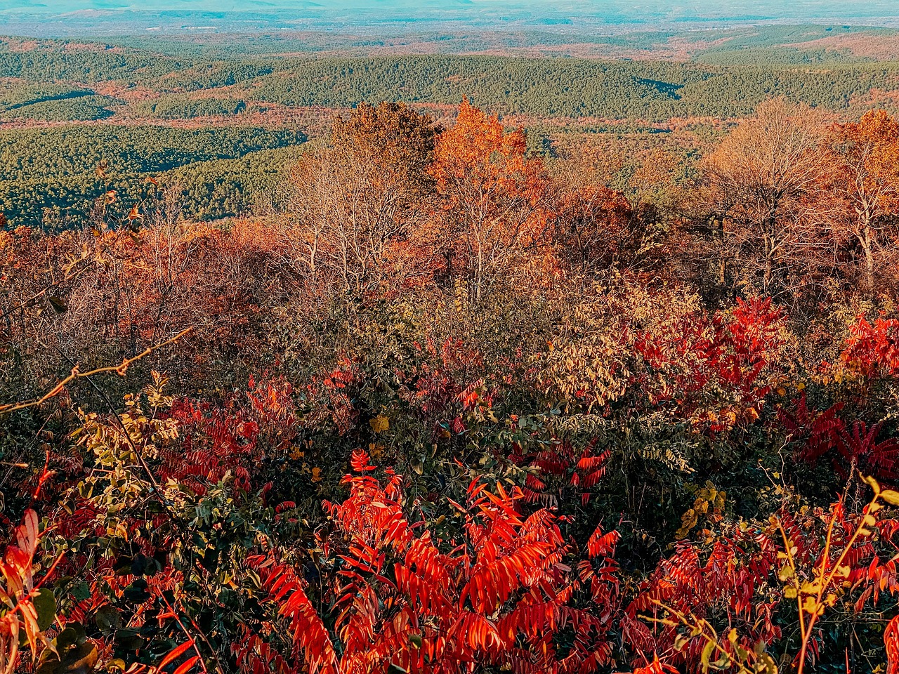 落下 秋天 - Pixabay上的免费照片 - Pixabay