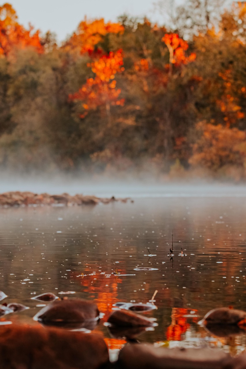 Arkansas Streams 200+ Free Arkansas & Nature Photos - Pixabay