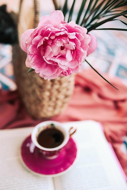 Free Rose Flower photo and picture