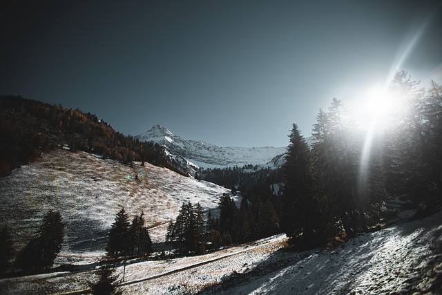 Free Switzerland Mountain photo and picture