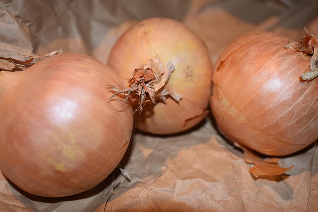 Free Onions Vegetables photo and picture
