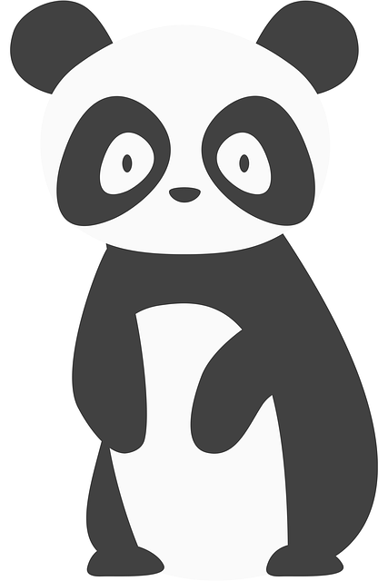 Free panda animal drawing illustration