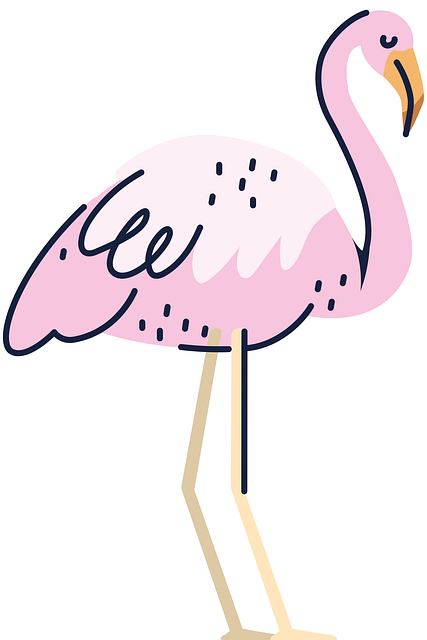 Fugl, Flamingo, Dyr, Dyreliv, Tegning